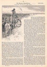 973 Albert Richter Argentina Pampa Item from 1894!!