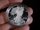 AMERICAN SILVER EAGLE 2001 PROOF 1 TROY OZ IN MINT HARD CAPSULE NO BOX SYGMA TES