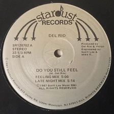 DEL RIO "Do You Still Feel" MEGA-RARE 12" VINYL ~ FREESTYLE ©1987 Stardust