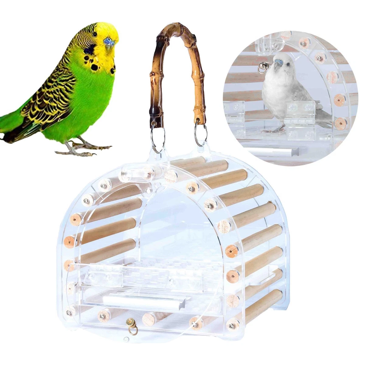 Parakeet travel clearance carrier