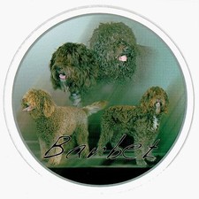 Adesivo Barbet / cane acquatico francese cane dog adesivo auto sticker