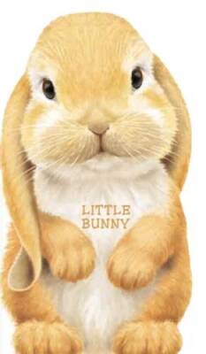 Little Bunny (Look at Me Books) - Board book By Rigo, L. - GOOD