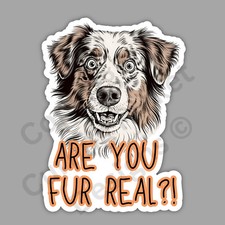 Are You Fur Real Australian Shepherd Dog Breed Surprised Funny 3" Vinyl Sticker