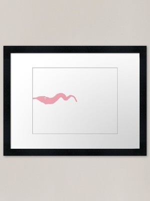 Pastell Rosa Wurm an Schnur Gerahmt Gerahmt Wandbild Poster Leinwanddruck Bild