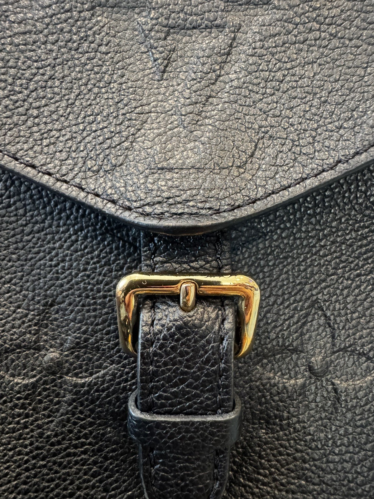 Louis Vuitton Tiny Backpack Monogram Empreinte Gi… - image 5