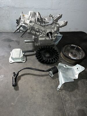 Briggs & Stratton 13D136-0010-F1 Horizontal Shaft Recoil Start Engine INCOMPLETE