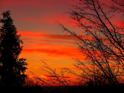 Photo Digital Product Wallpaper Image Picture Background for a print sunset -