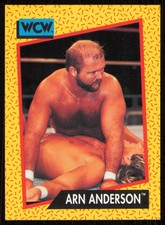 1991 Impel WCW #52 Arn Anderson Card