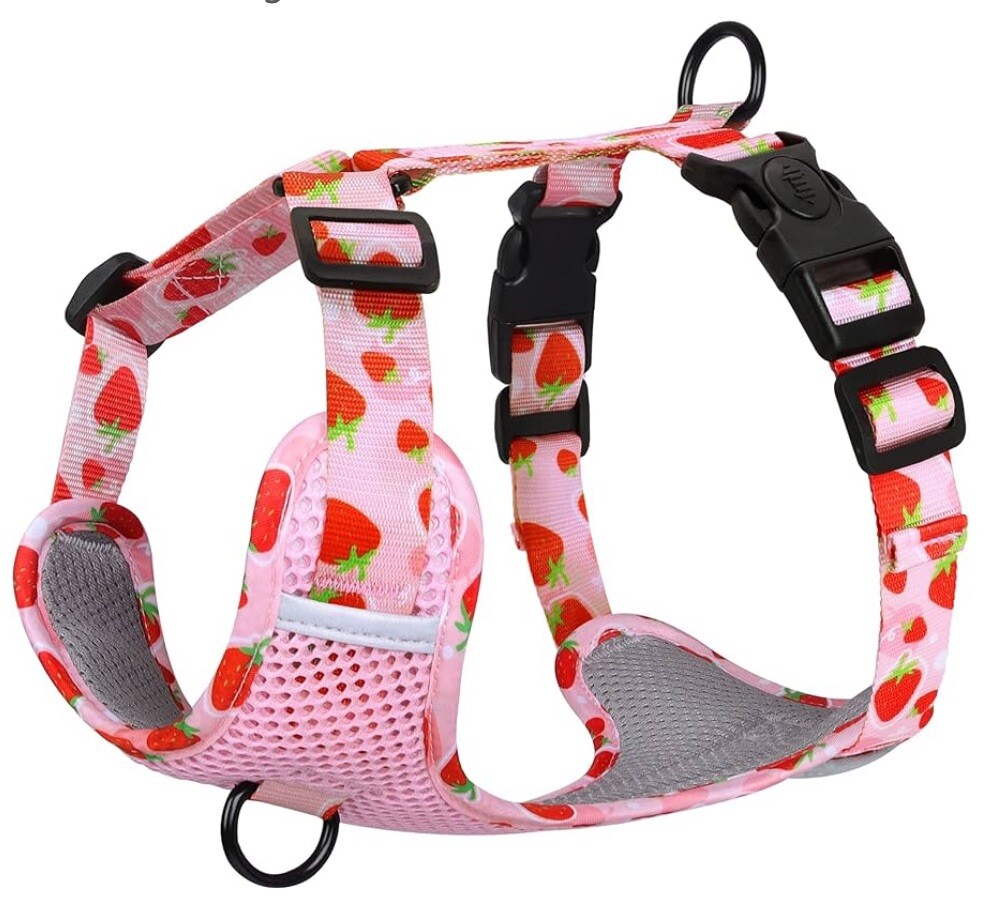 Dog harness with strawberries Size Small