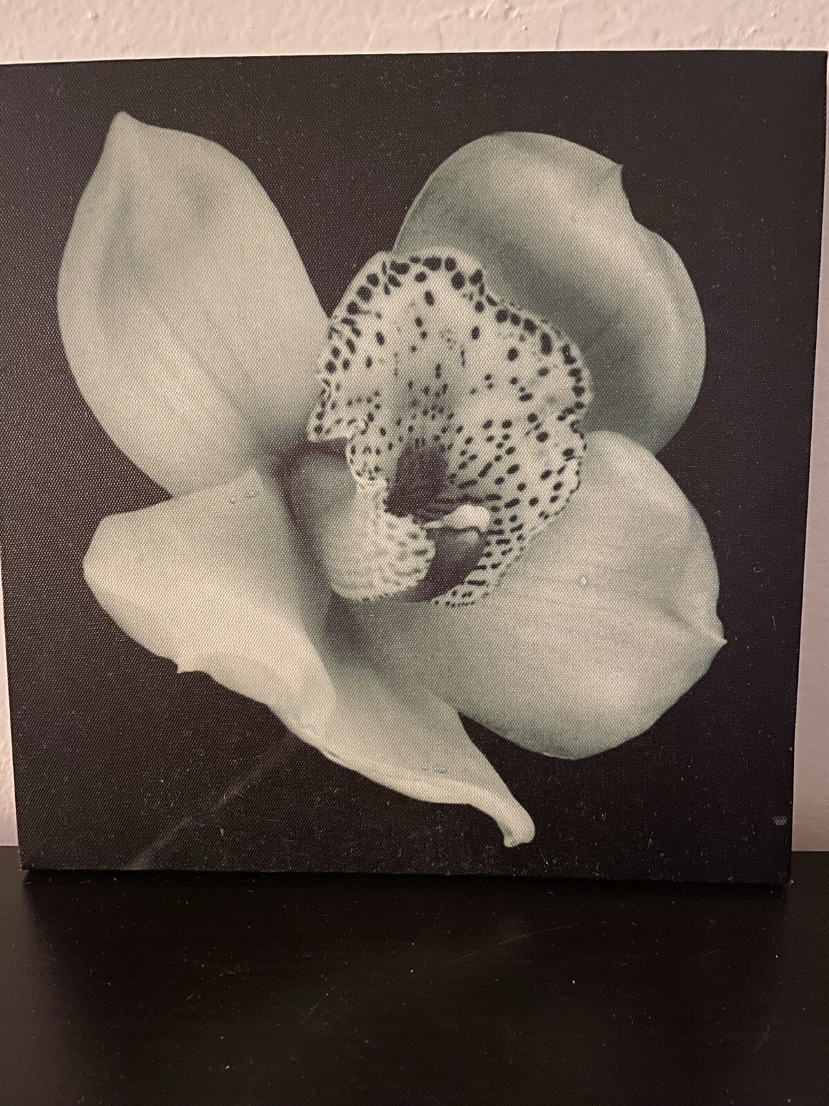 Flowers Green On Black Canvas Picture Photo Wall Art Home Decor 4PC