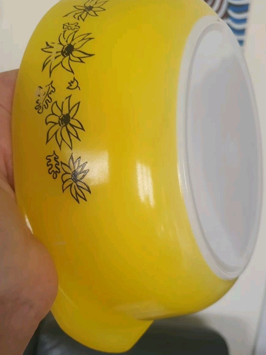 Picture 4 of 13