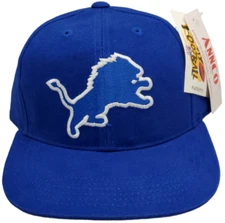 Detroit Lions Youth Snapback Hat Stitched Logo Brushed