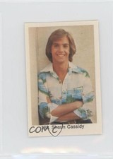 Shaun Cassidy — 1979 Popbilder Period After Number I #168