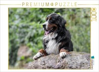 Calvendo Puzzle Bernese Mountain Dog Aiko | 1000 Pieces, Finished Size 25.2 × 18