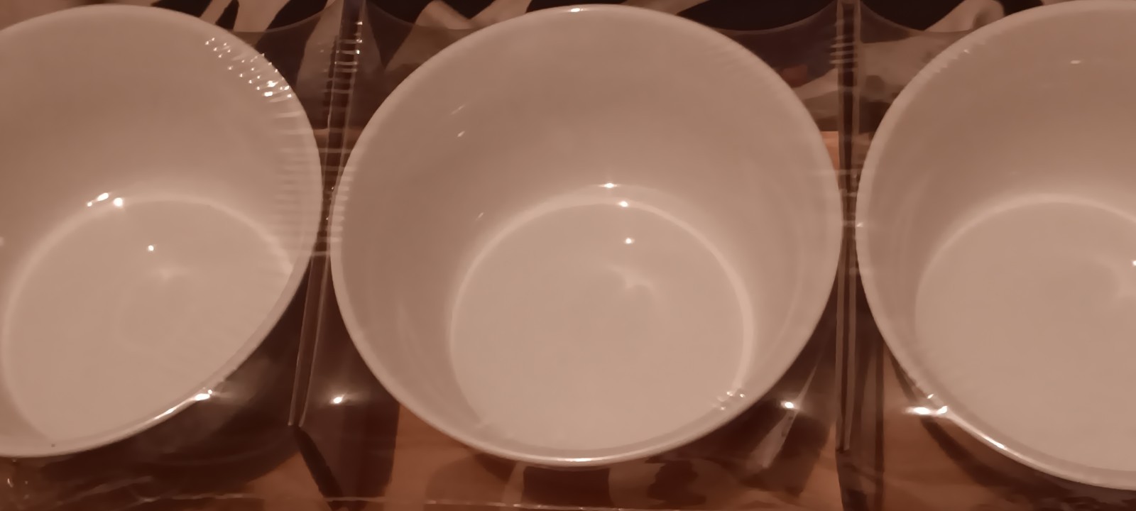 Wildlife Tidbit Dish Set Cheetah With Wool Tray Soup Cereal Salad Dessert Bowls