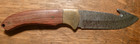 Mossy Oak Skinning Hunting Knife Gut Hook Damascus Steel 4" Blade total 9" — photo 5