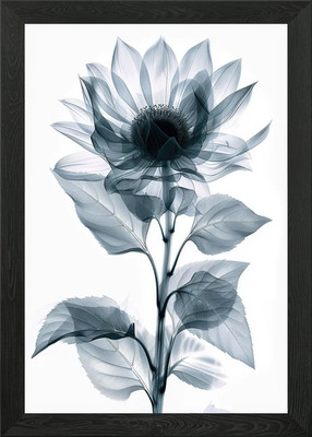 Gerahmtes Wandbild Sonnenblume in Röntgenstrahlen Poster Leinwanddruck Bild