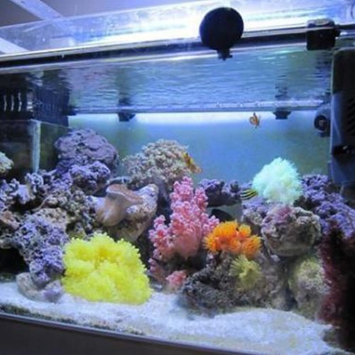 NEON 55 LED SMD 60CM 3WT LUCE BIANCA ACQUARIO PESCI PIANTE IMMERSIONE PLAFONIERA - Foto 8 di 9