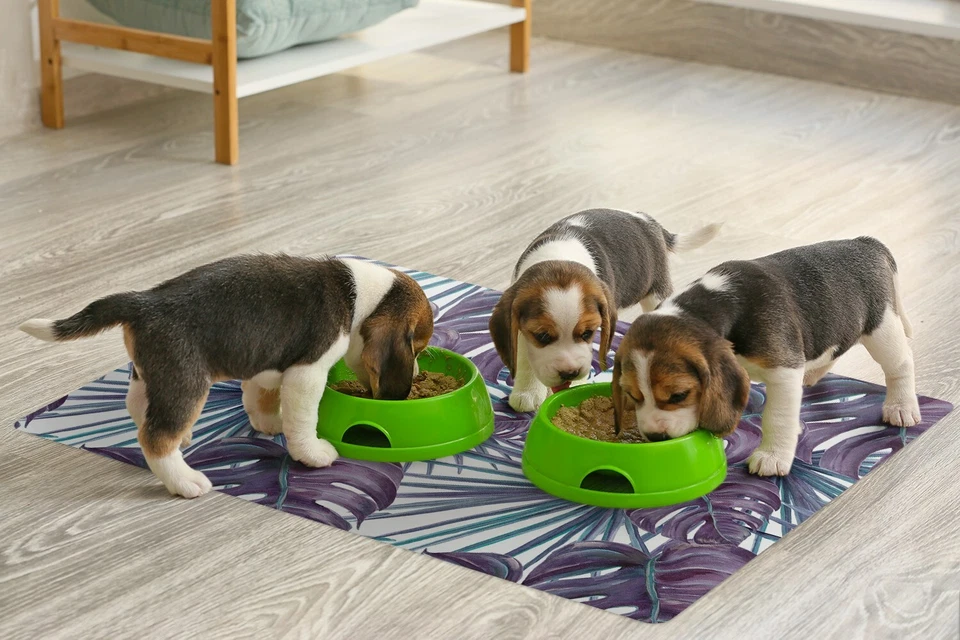 Hunde Katzen Napfunterlage Fressnapf Matte für Schüssel Monstera-Blätter - Bild 4 von 4