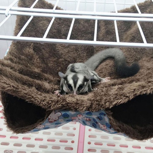 Pet Hamster Bird Ferret Rat Squirrel Hammock Hanging Cage Nest Bed House ToPB - Picture 3 of 12