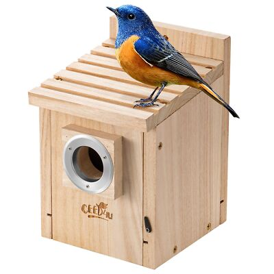 Owl Bird House with Copper Guard Wooden Blue Bird Nesting Boxe Hanging Birdhouse