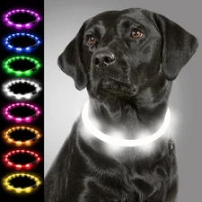 Joytale Light Up Dog Collar, Rechargeable 8-27.5 Inch (Pack of 1), White 