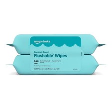 Amazon Basics Flushable Wipes Coconut Scent Hypoallergenic 2 Packs 96 Count