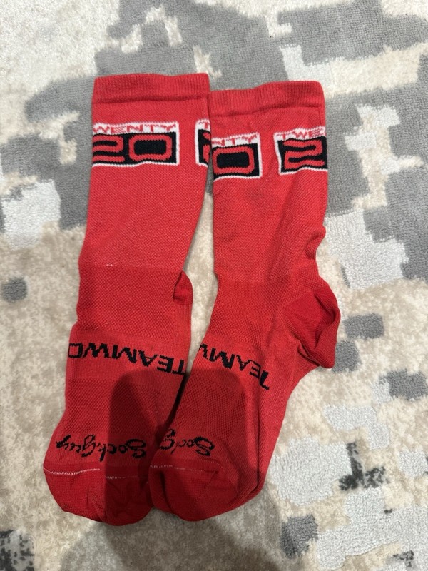 SockGuy SGX Team TWENTY20 Socks, Size S