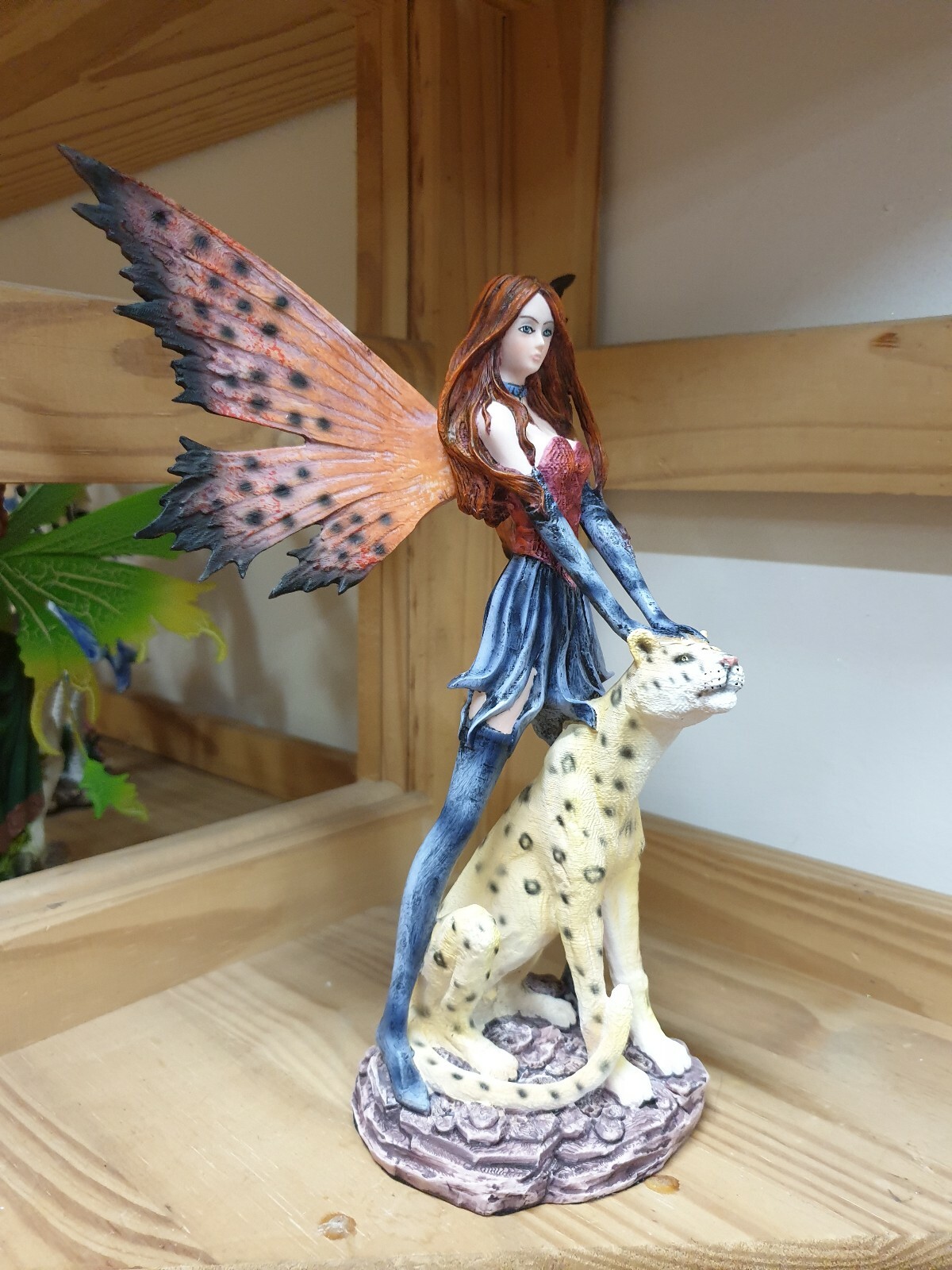 Picture 4 of 11