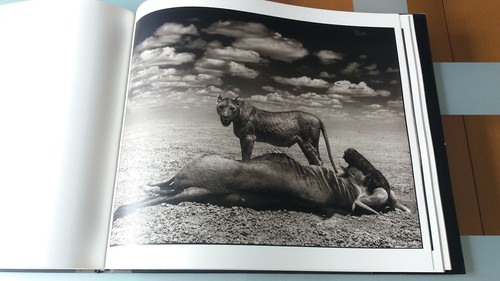 Nick Brandt - Quer durch wüstes Land - 2013 - Bild 4 von 10