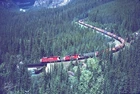 CP 5768 SD-40-2 #9 YOHO BC (CANADIAN PACIFIC) ORIGINAL SLIDE 07-25-82 T23-14