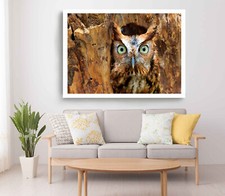 Eastern Screech Owl Print,Owl Wall Art,Owl on Tree Framed Animal Wall Art,Animal
