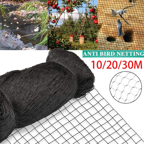 GARDEN NETTING 100 X 100mm Anti Bird Plant Pond Net Protection - Foto 10