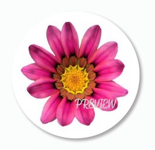 BRIGHT PINK DAISY FLOWER ROUND STICKERS ENVELOPE SEALS SCRAPBOOK STICKERS