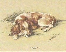 Welsh Springer Spaniel Puppy - CUSTOM MATTED - Dog Art Print - Lucy Dawson