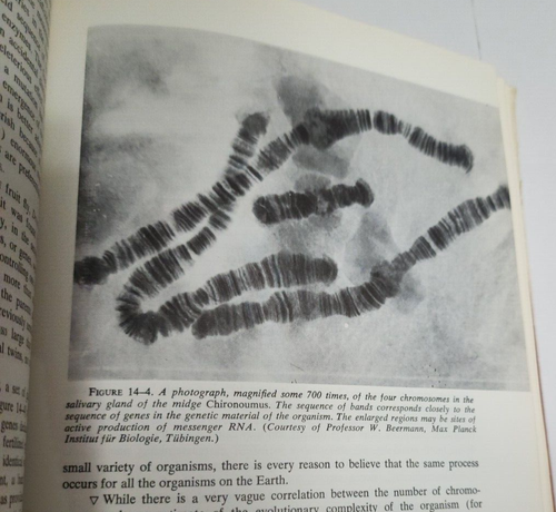 Intelligent Life in the Universe by I. S. Shklovskii & Carl Sagan 1966 First Ed. - Picture 18 of 23