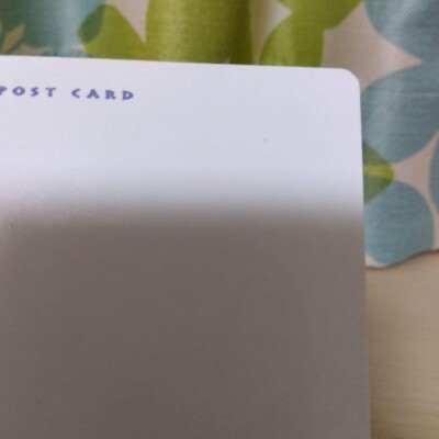 Japanese Pokemon 2001 Jumbo Fan Club Tropical Present Special Card