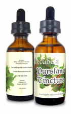 ICECUBE'S Triple Extracted  PURSLANE 2 oz. Tincture