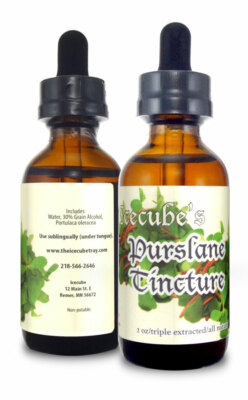 ICECUBE'S Triple Extracted  PURSLANE 2 oz. Tincture
