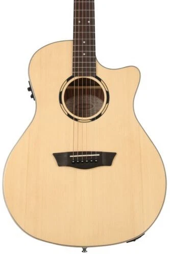 Washburn Solid Spruce Body Acoustic Electric Guitars