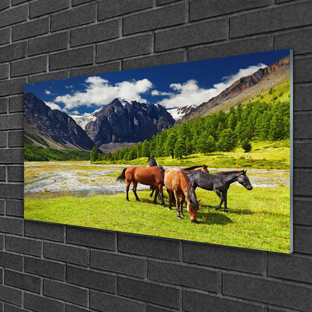 Tableau sur verre décoratif cheval de montagne 100x50 cm impression évasion sauvage