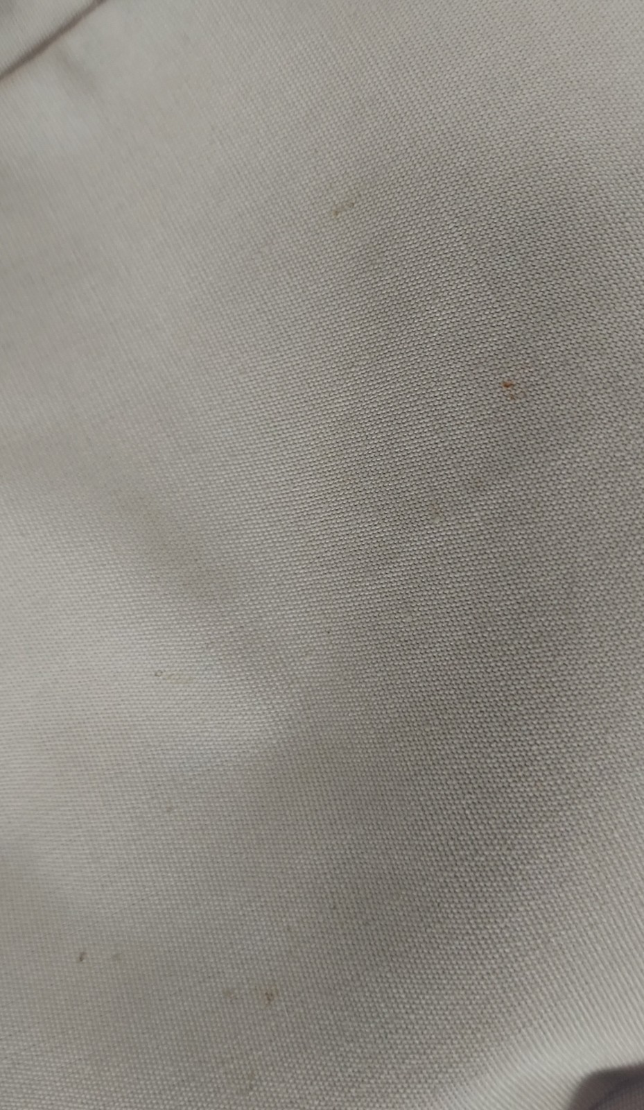 Picture 11 of 11