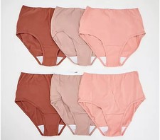 Breezies Womens Set of 6 Original Cotton Brief Panties in Tonal Size 8