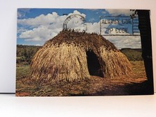 Wikiup Ft Apache Indian Reservation Arizona Chrome Postcard A556