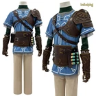 The Legend of Zelda: Tears of the Kingdom Link Cosplay Costume Armor Full Set
