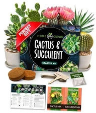  Succulent & Cactus Seed Kit for Planting – [Enthusiasts Cactus Garden Kit