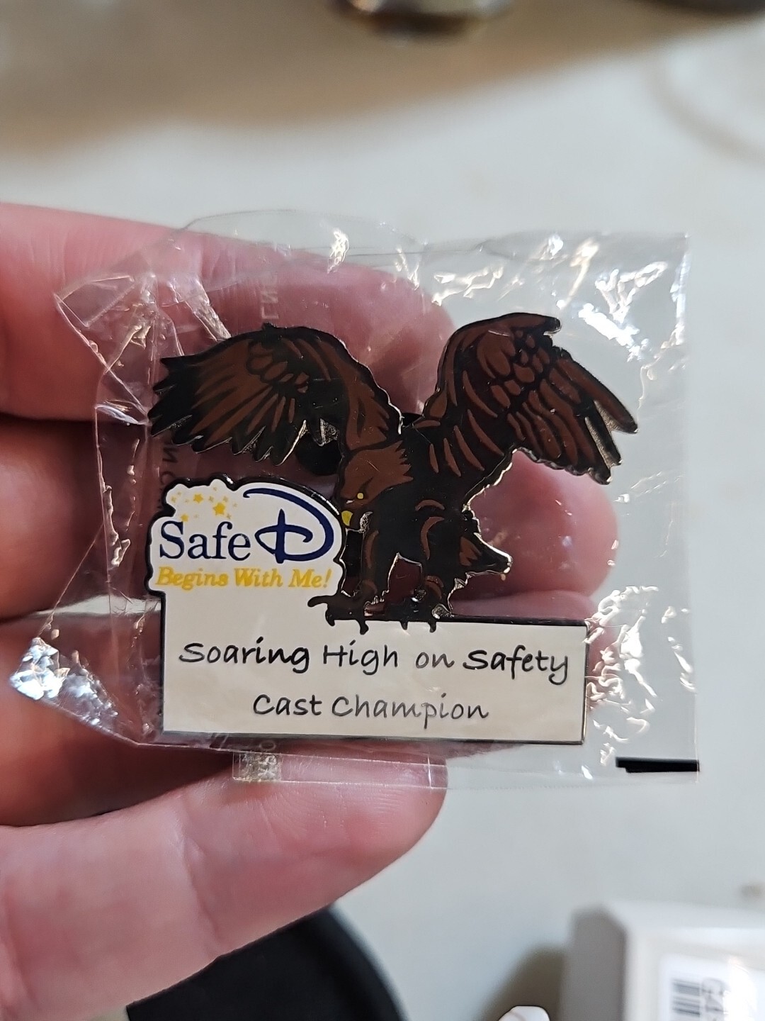 Disney Safe D Begins With Me! Soaring High on Safety Cast Champion Pin
