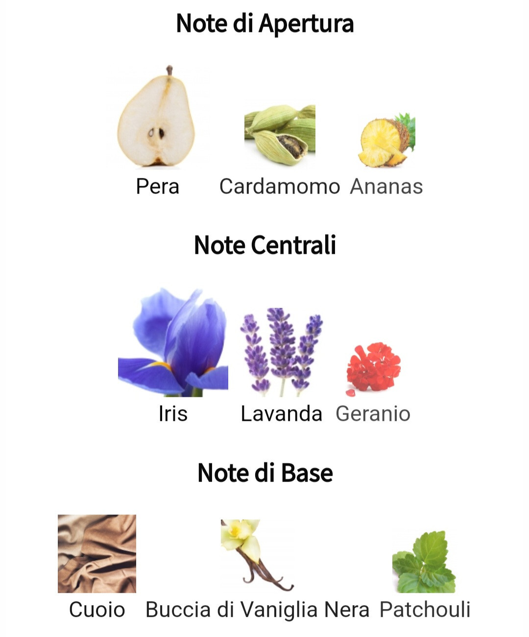 Foto 2 di 3