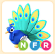 NFR Peacock- Neon Fly Ride - The Trusted Store 