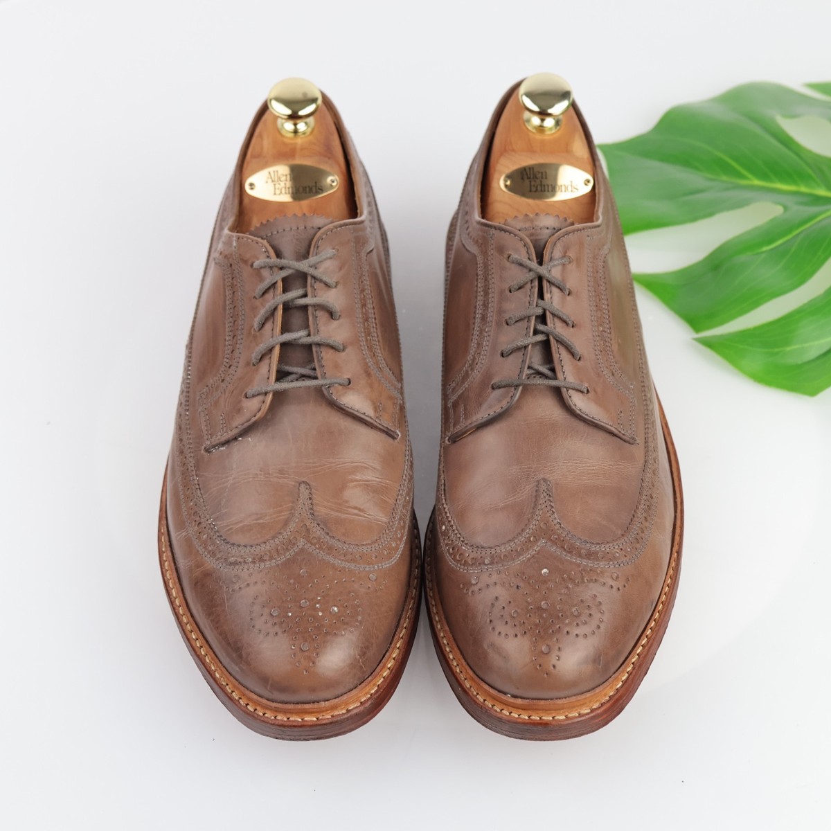 Florsheim Limited Mens Veblen Longwing Oxford Size 11.5 D 